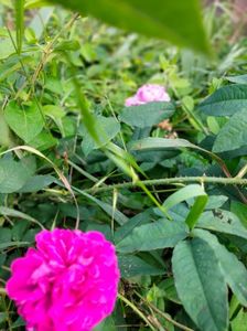 IMG20230608174039