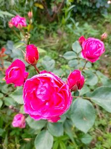 IMG20230608173606