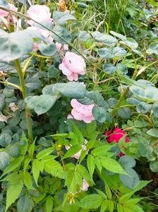 IMG20230608173541