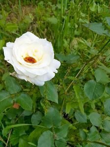 IMG20230608171837