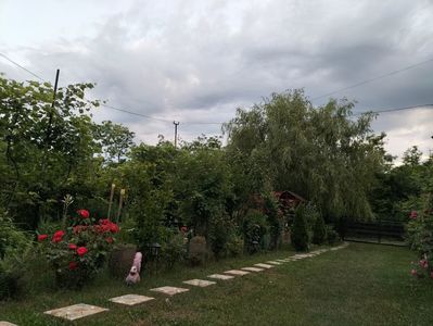 IMG20230609210835
