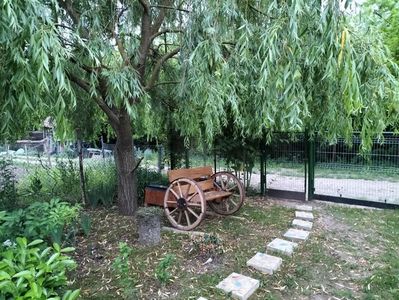 IMG20230609210952