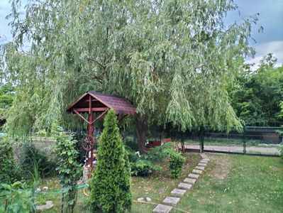 IMG20230609210936