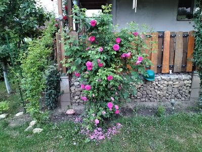 IMG20230609210907