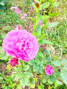 IMG20230608173622