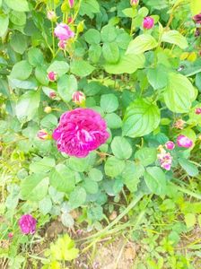 IMG20230610141012