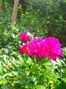 IMG20230610140716