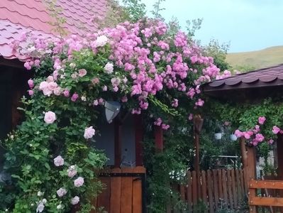 IMG20230610211024