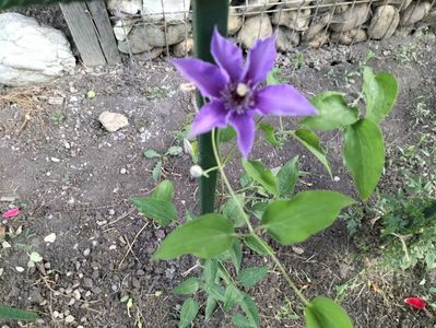 IMG20230610081202