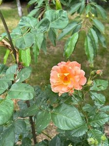 IMG-20230614-WA0120