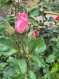 IMG-20230614-WA0123