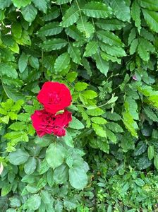 IMG-20230614-WA0134