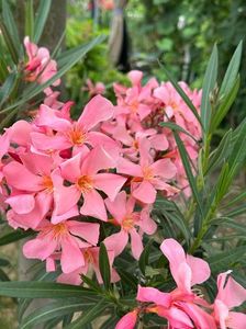 IMG-20230614-WA0145