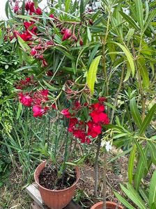 IMG-20230614-WA0148