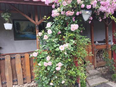 IMG20230615113337
