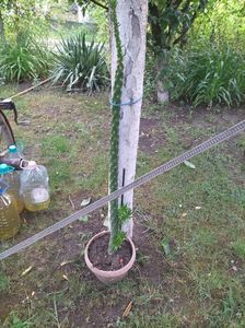 IMG-20230614-WA0053