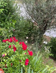 95A5AF34-240D-430A-91AE-BAEAD7C503EA