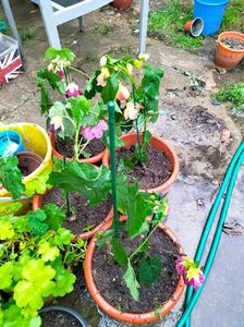 IMG20230613102558
