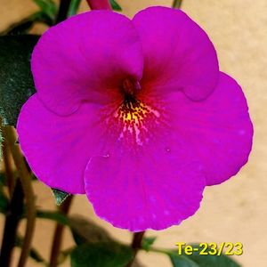 IMG-20230608