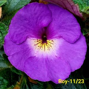 IMG-20230607