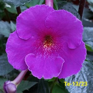 IMG-20230602