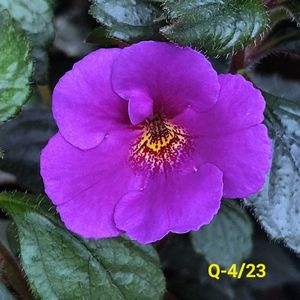 IMG-20230602