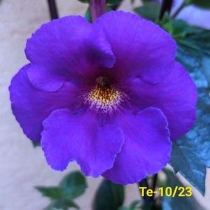 IMG-20230531