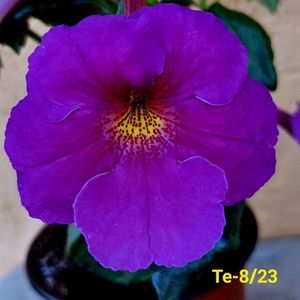 IMG-20230530