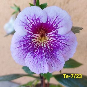 IMG-20230530