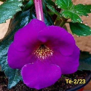 IMG-20230523
