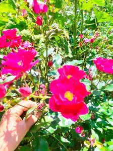 IMG20230620124111