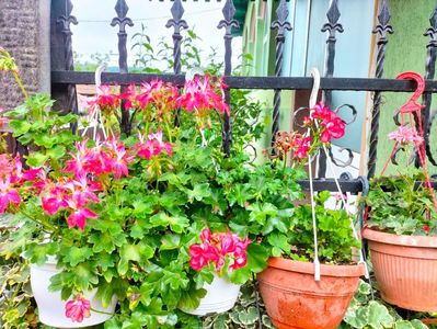 IMG20230617130640