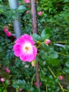 IMG20230614204012