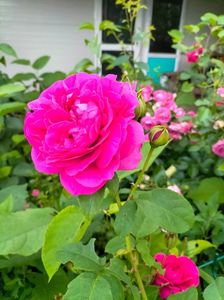 IMG20230614203126