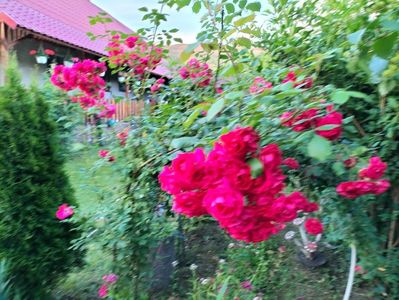 IMG20230621204343