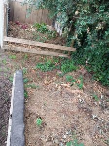 Img.2023.06.21; Loc de compost
