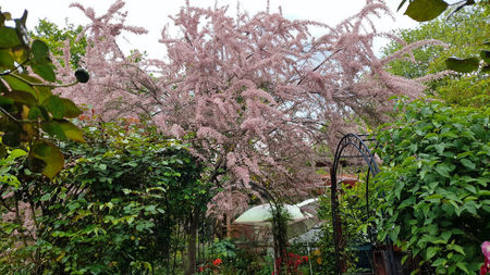 ; IMG-20230519-WA0092

