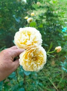 IMG20230623194139