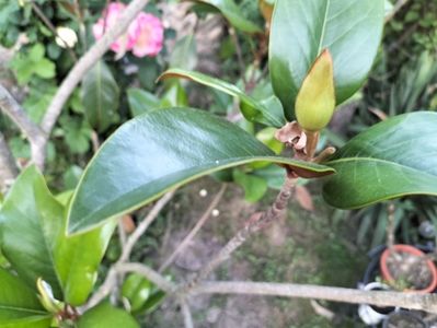 IMG20230623204701