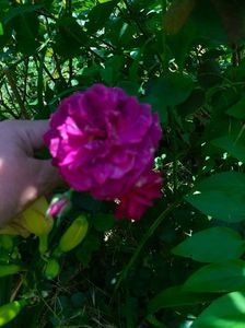 IMG20230627120451