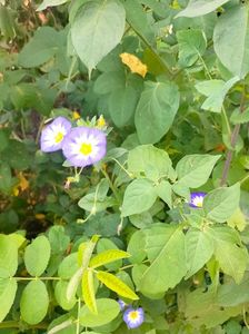 IMG20230625150859