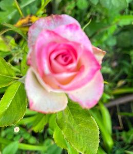 EF74C0AB-047E-4E31-A3BC-20B3974B4205