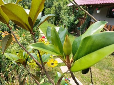 IMG20230627151911