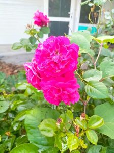IMG20230628185707
