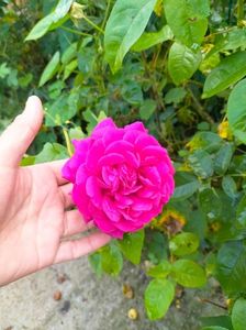 IMG20230628185701