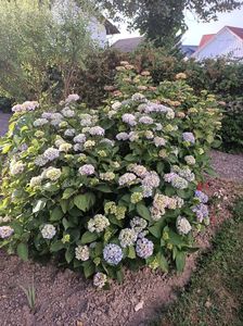 Img.2023.06.19; De sub geam
