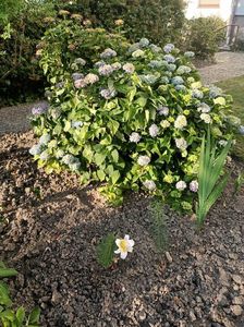 Img.2023.06.19; De sub geam
