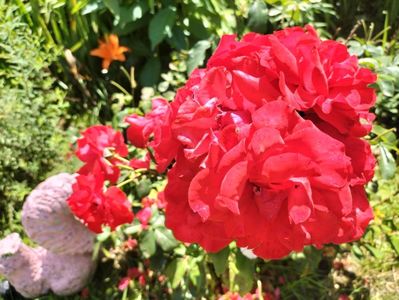 IMG20230630122207