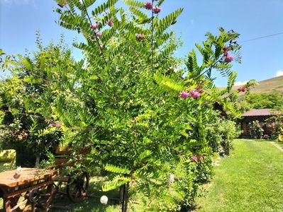 IMG20230630121917