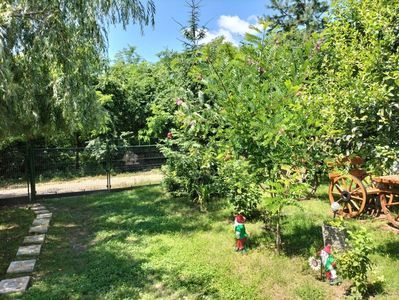 IMG20230630121856